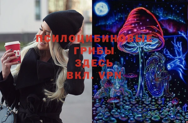 дживик Краснослободск