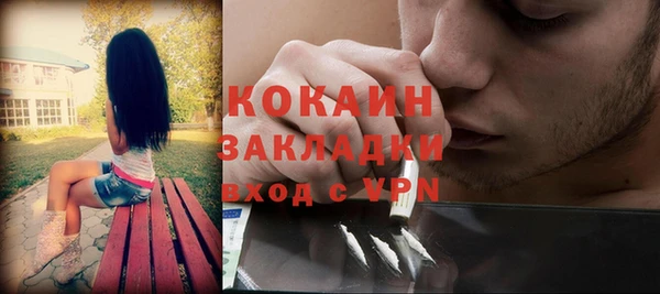 дживик Краснослободск