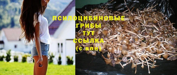 дживик Краснослободск