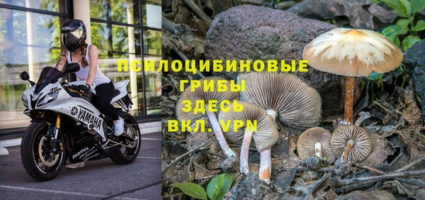 винт Корсаков