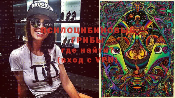 дживик Краснослободск