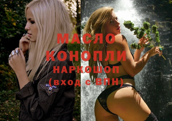 индика Красноперекопск
