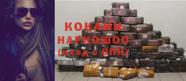 индика Красноперекопск