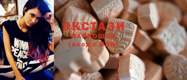 дживик Краснослободск